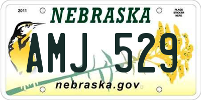 NE license plate AMJ529