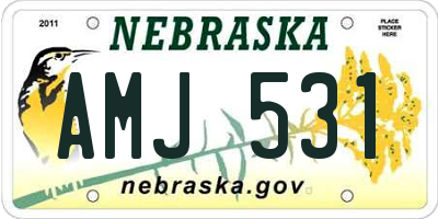 NE license plate AMJ531