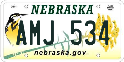 NE license plate AMJ534