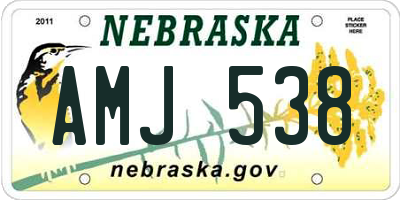 NE license plate AMJ538