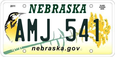 NE license plate AMJ541