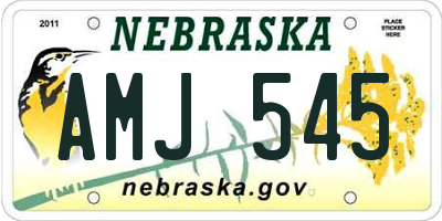 NE license plate AMJ545