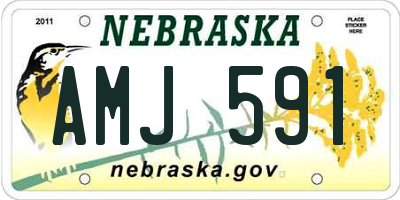 NE license plate AMJ591