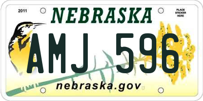 NE license plate AMJ596