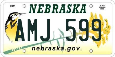 NE license plate AMJ599