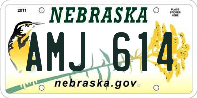 NE license plate AMJ614