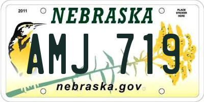 NE license plate AMJ719