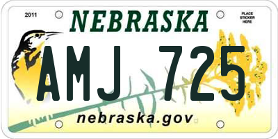 NE license plate AMJ725