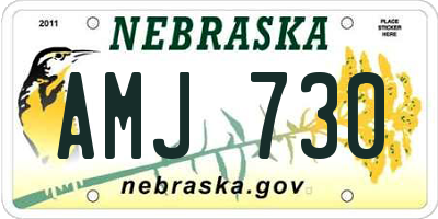 NE license plate AMJ730