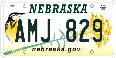 NE license plate AMJ829