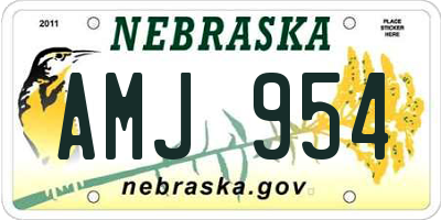NE license plate AMJ954