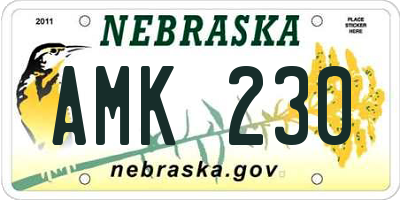 NE license plate AMK230