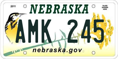 NE license plate AMK245