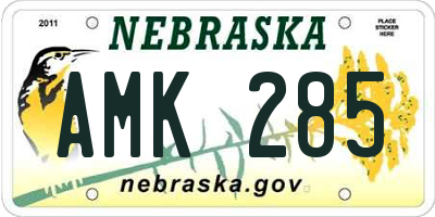 NE license plate AMK285