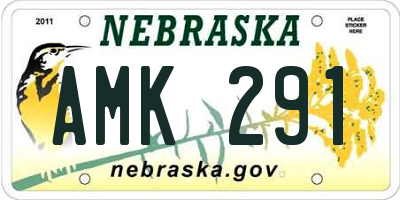 NE license plate AMK291