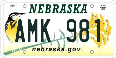NE license plate AMK981