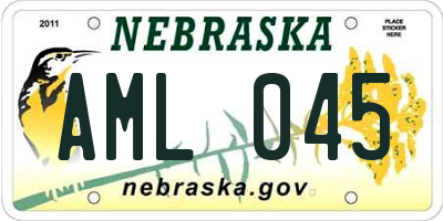 NE license plate AML045