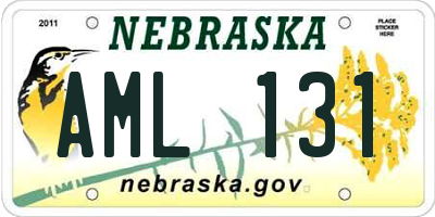 NE license plate AML131