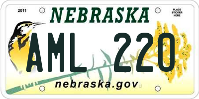 NE license plate AML220