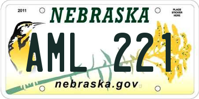 NE license plate AML221