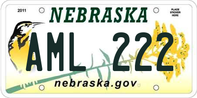 NE license plate AML222