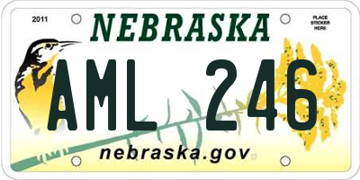 NE license plate AML246