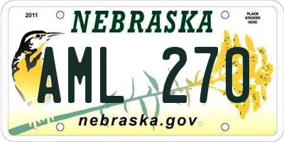 NE license plate AML270