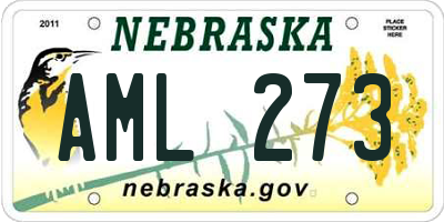 NE license plate AML273