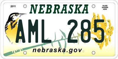 NE license plate AML285