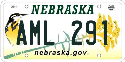 NE license plate AML291