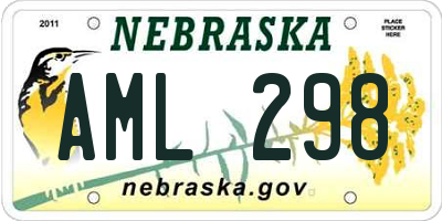 NE license plate AML298