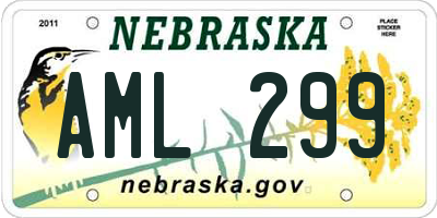 NE license plate AML299