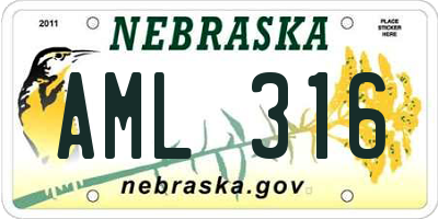 NE license plate AML316