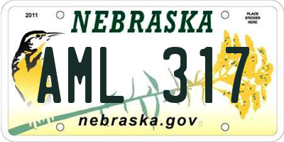 NE license plate AML317