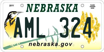 NE license plate AML324