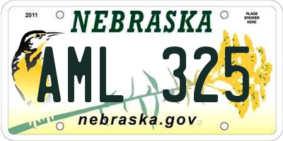 NE license plate AML325