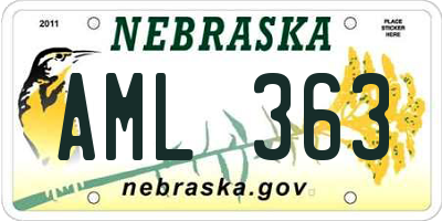 NE license plate AML363