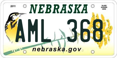 NE license plate AML368