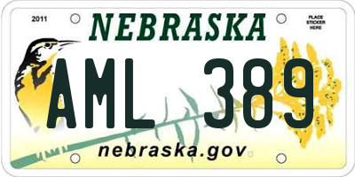 NE license plate AML389
