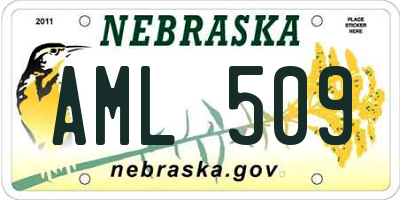 NE license plate AML509
