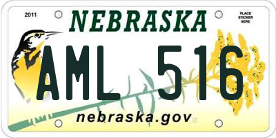 NE license plate AML516