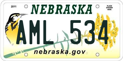 NE license plate AML534