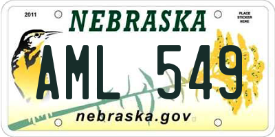 NE license plate AML549
