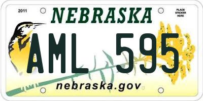 NE license plate AML595