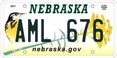 NE license plate AML676
