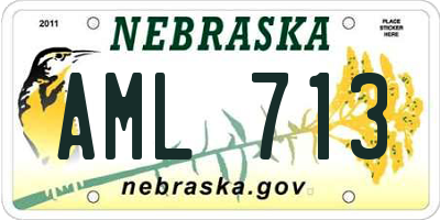 NE license plate AML713