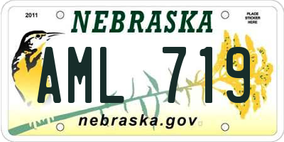 NE license plate AML719