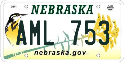 NE license plate AML753