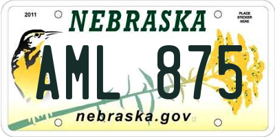 NE license plate AML875