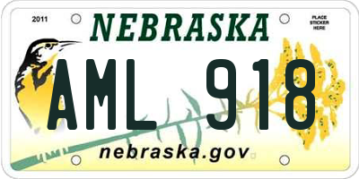 NE license plate AML918